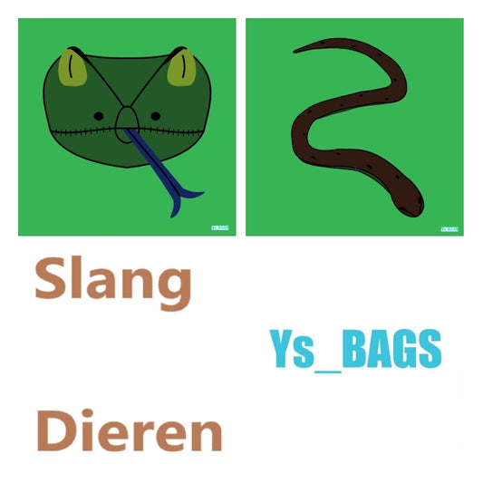 Slang