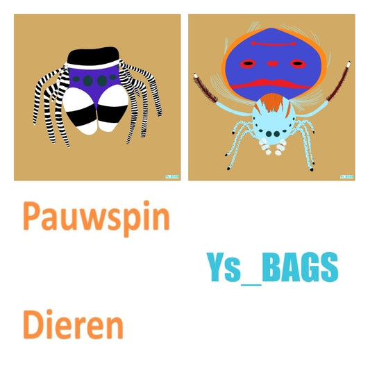Pauwspin