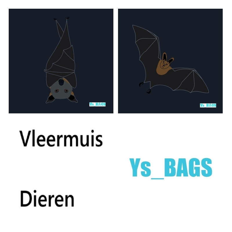 Vleermuis